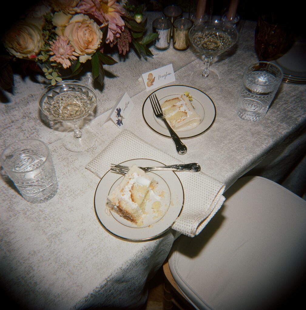 meridian house cake flash film holga